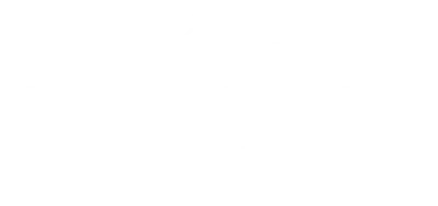 Huron Spider Control